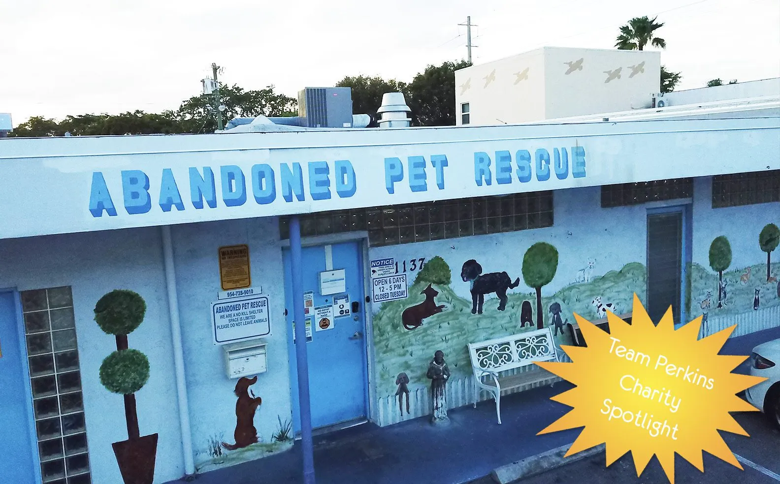 Abandoned Pet Rescue donated re-roof